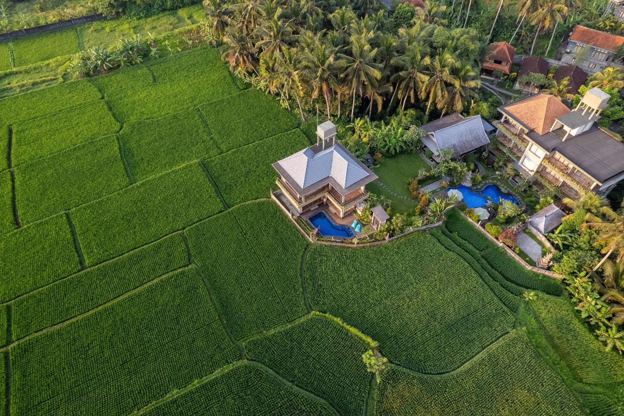 Gynandha Ubud Cottage Екстериор снимка